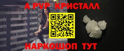 стаф Кингисепп