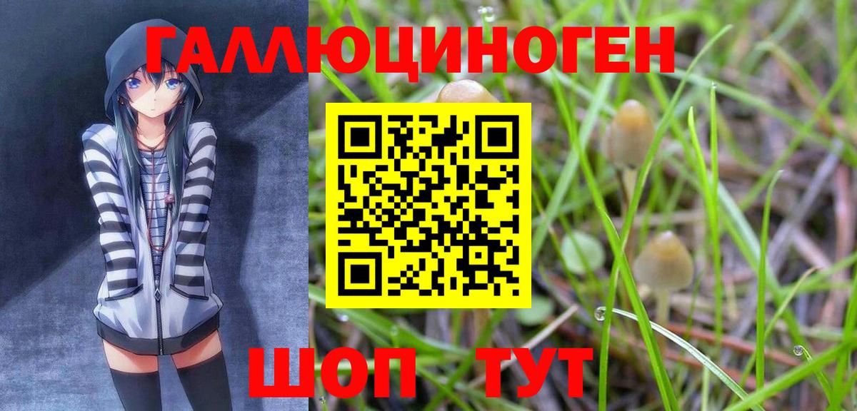 Галлюциногенные грибы Psilocybe  Вход с VPN  Якутск 